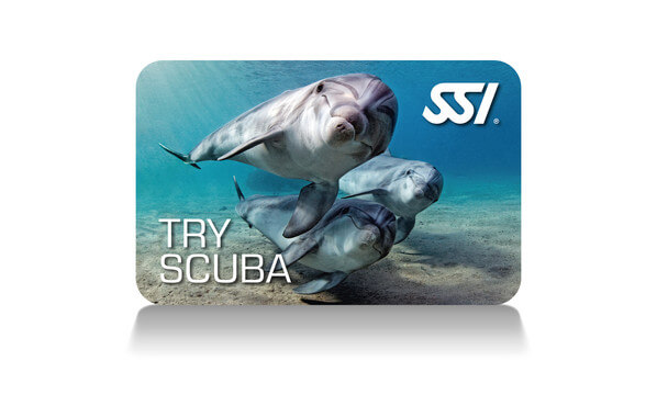 TRY SCUBA (PISCINA) / TRY SCUBA DIVING (ACQUA LIBERA)