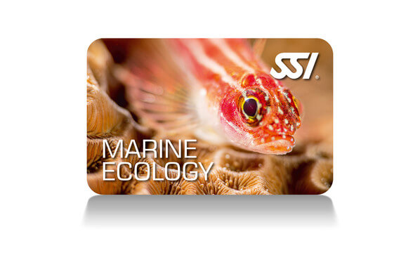 MARINE ECOLOGY / UNDERWATER NATURALIST