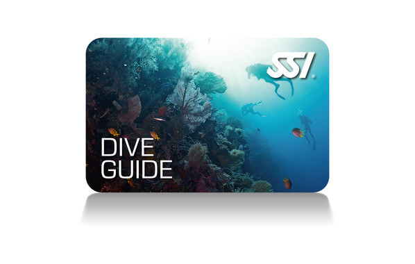 DIVE GUIDE