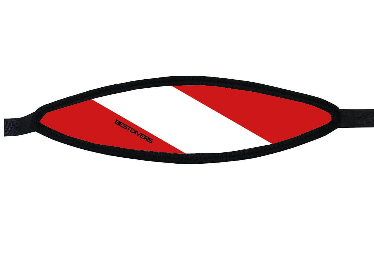 IN-FLAG-V